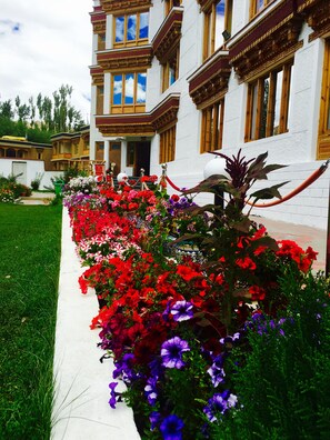 Vista frontal de la propiedad