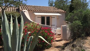 A small, single-story building with a tiled roof, a white exterior, and a door with a window. There are white plastic chairs outside, and a variety of plants, including large agave and flowering shrubs, in the foreground. - Villa STELLA D ORO, F2 * (Porto-Vecchio)