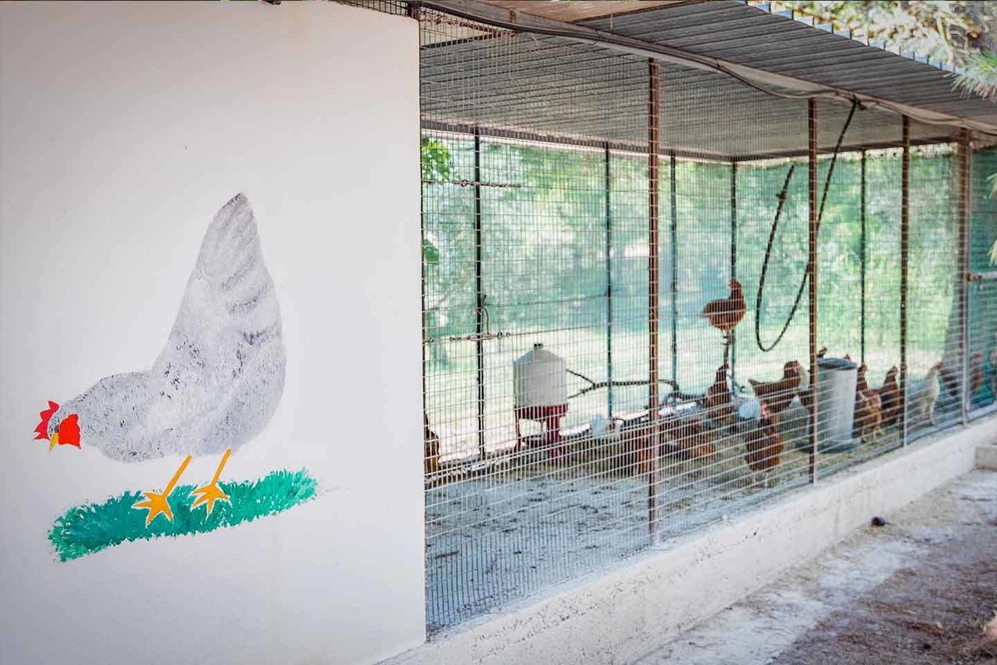 Un gallinero con cerca de alambre y un mural de una gallina en la pared.