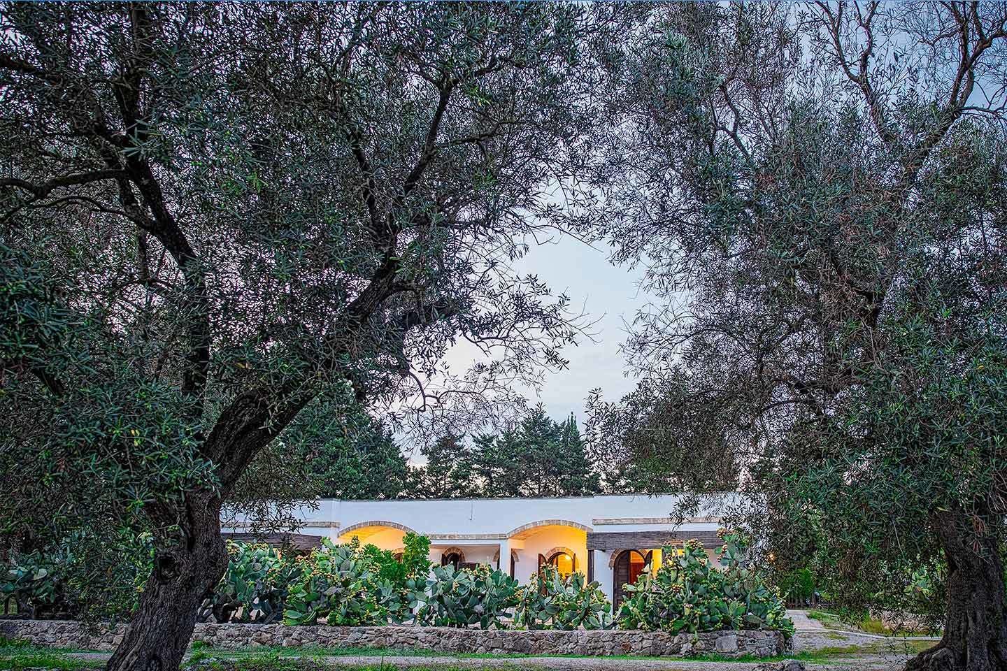 A building with multiple arches and a garden with cacti and olive trees.