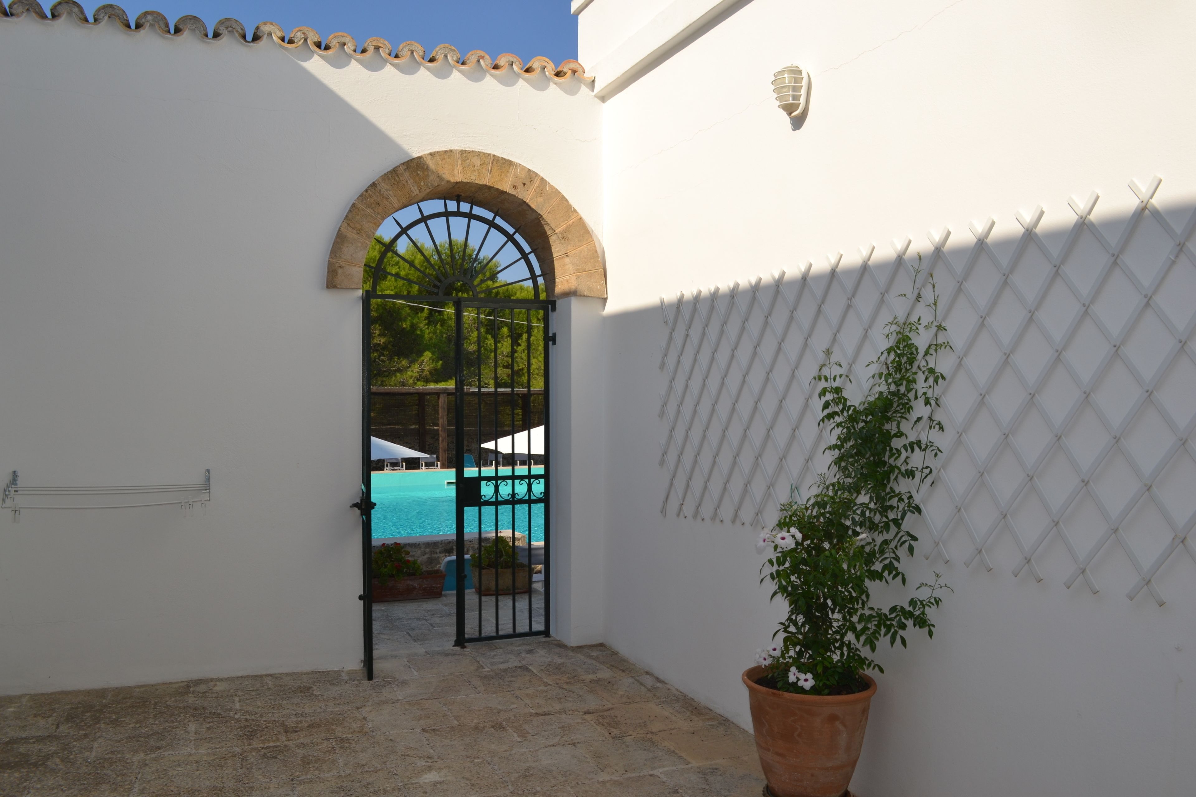 A white building with a tiled roof, a black gate, a pool, and a potted plant.