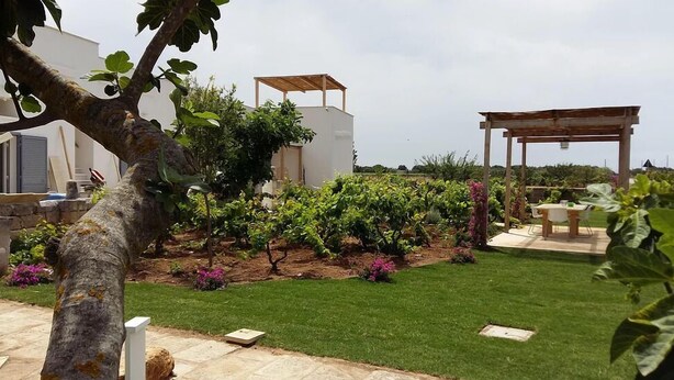 A garden with a pergola, a grassy lawn, and a vineyard. - Casale alle Vigne (Nardò)