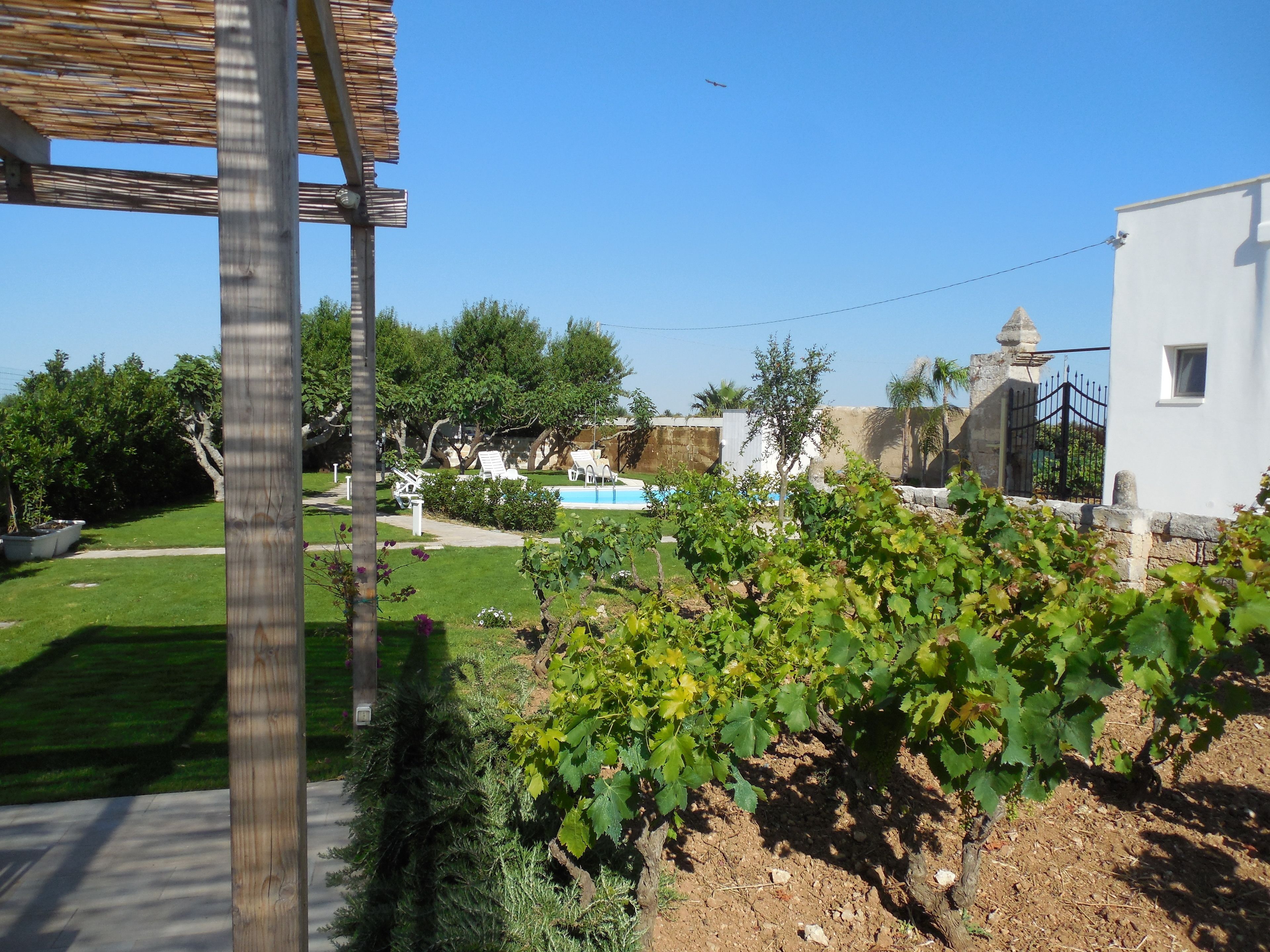 Terrazza/patio