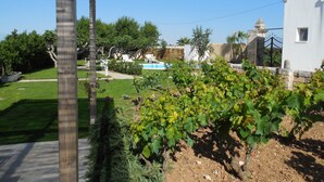 A garden with a pool, a pergola, and a white building. - Casale alle Vigne (Nardò)