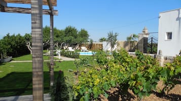 Terrazza/patio