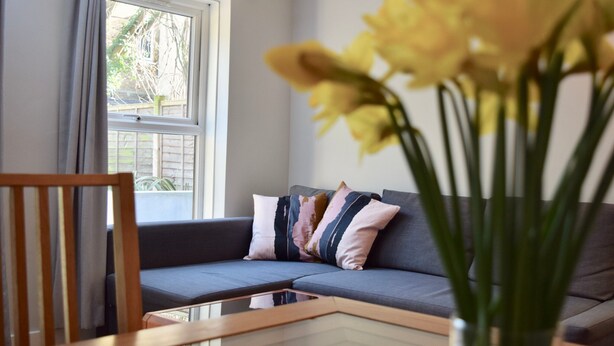 Flat-screen TV - 2 Bedroom Garden Flat Lower Holloway (London)