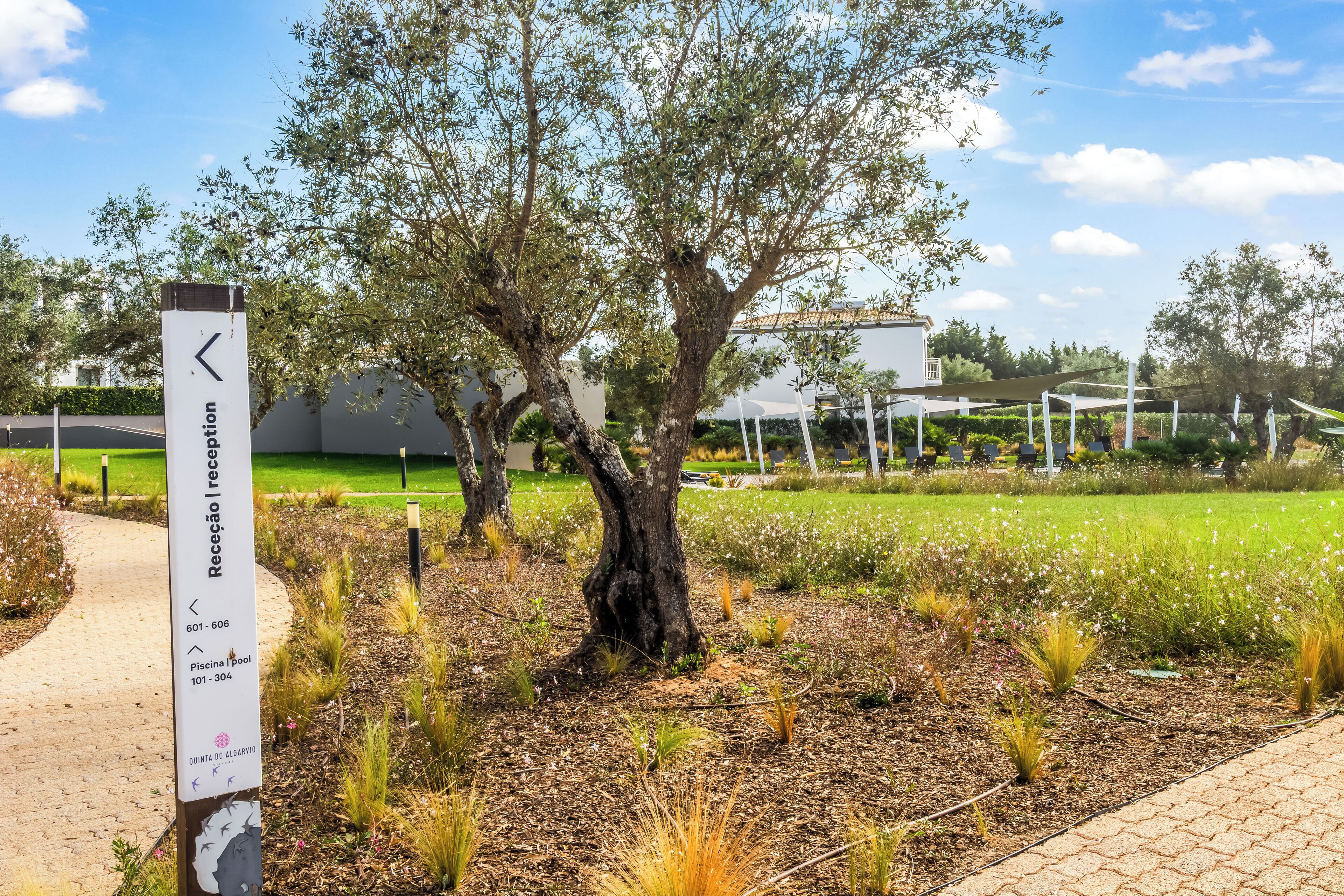 Un cartel con indicaciones hacia recepción y áreas de la piscina, rodeado por un jardín ajardinado con árboles y arbustos.