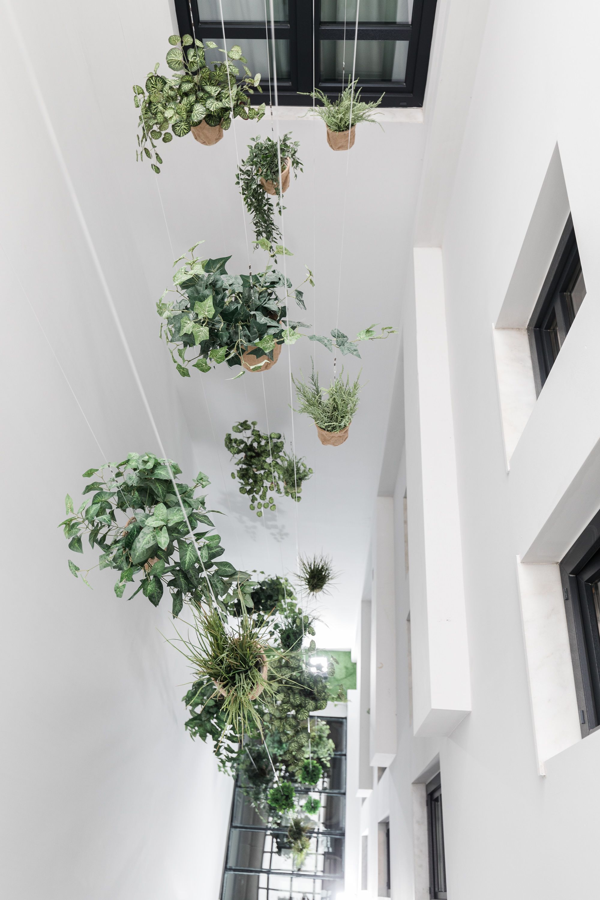 junior suite 14 | building design