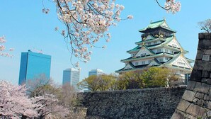 A traditional Japanese castle with a stone wall and cherry blossoms in the foreground. - Guest House Megu-chan (Osaka)