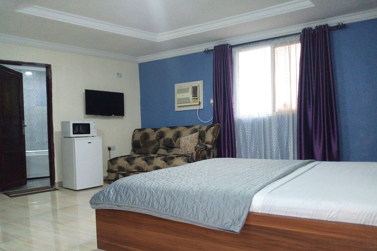 A bedroom with a bed, a sofa, a television, and a small white appliance.