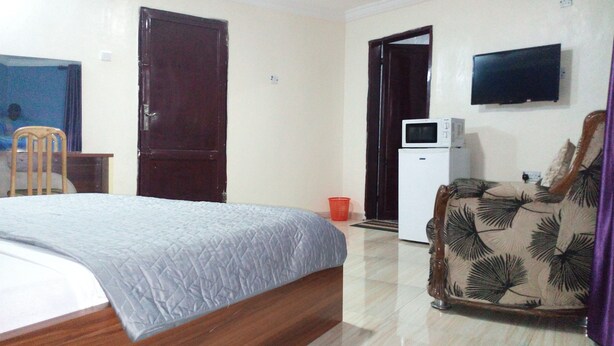 Une chambre d’hôtel avec un lit, une chaise, une télévision, un four à micro-ondes et une porte.