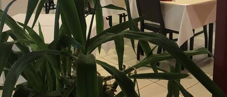 Et spiseområde med borde og stole, et fjernsyn på væggen og en plante i forgrunden.