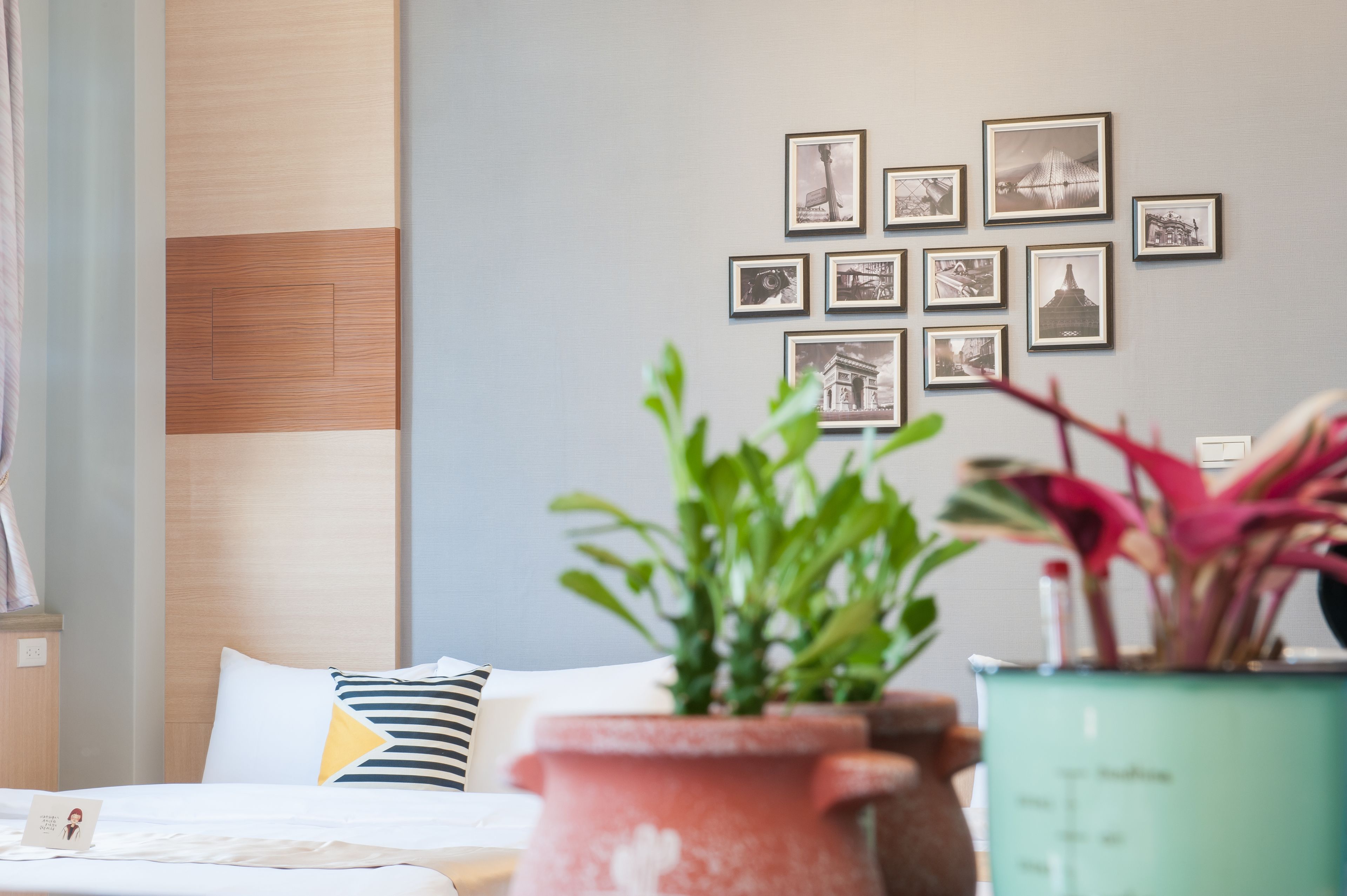 Quarto de hotel com cama, mesa de cabeceira, planta em vaso e parede com quadros.