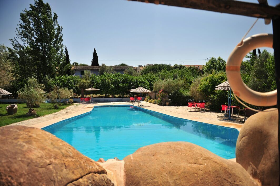 Seasonal outdoor pool, pool umbrellas, sun loungers
