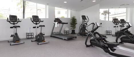 A gym with multiple cardio machines, a treadmill, and a potted plant.