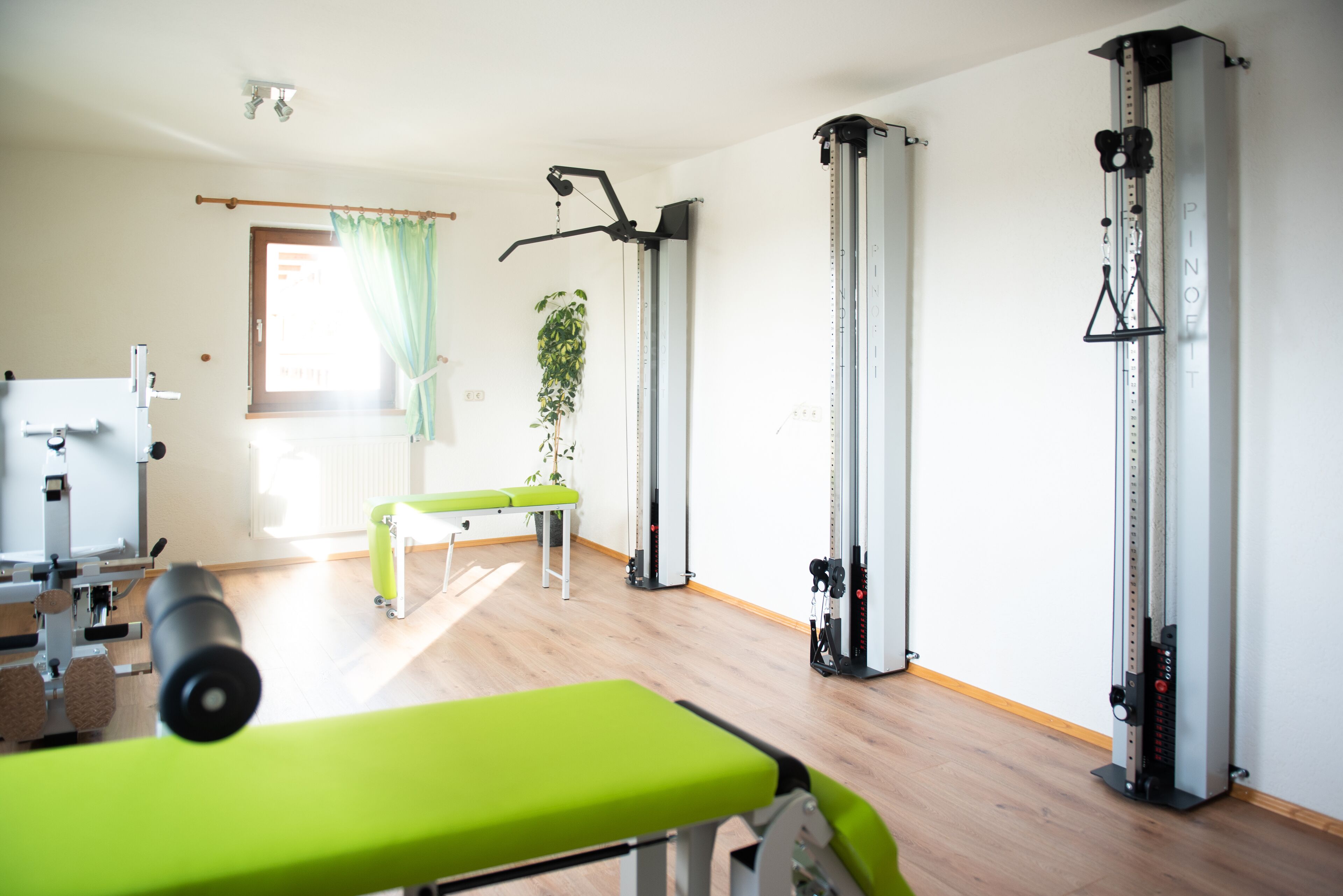 A gym with exercise equipment, a bench, and a plant.