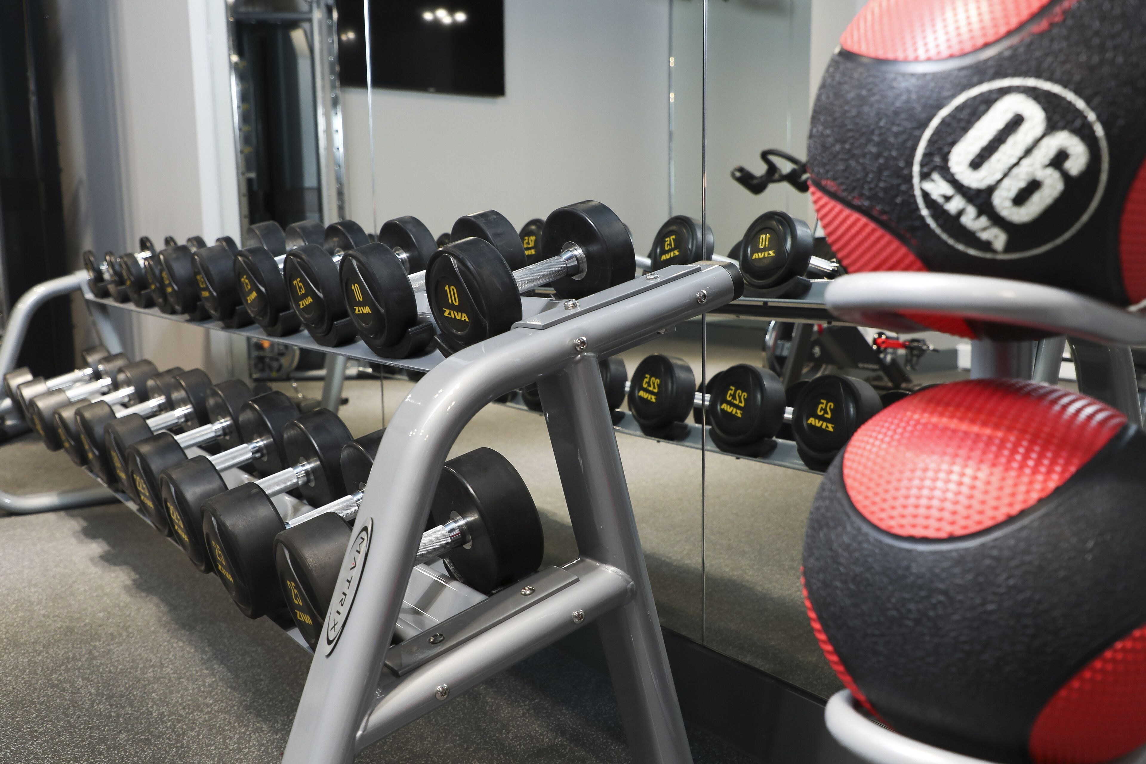 Une salle de sport avec plusieurs rangées d’haltères et un ballon lesté rouge et noir.
