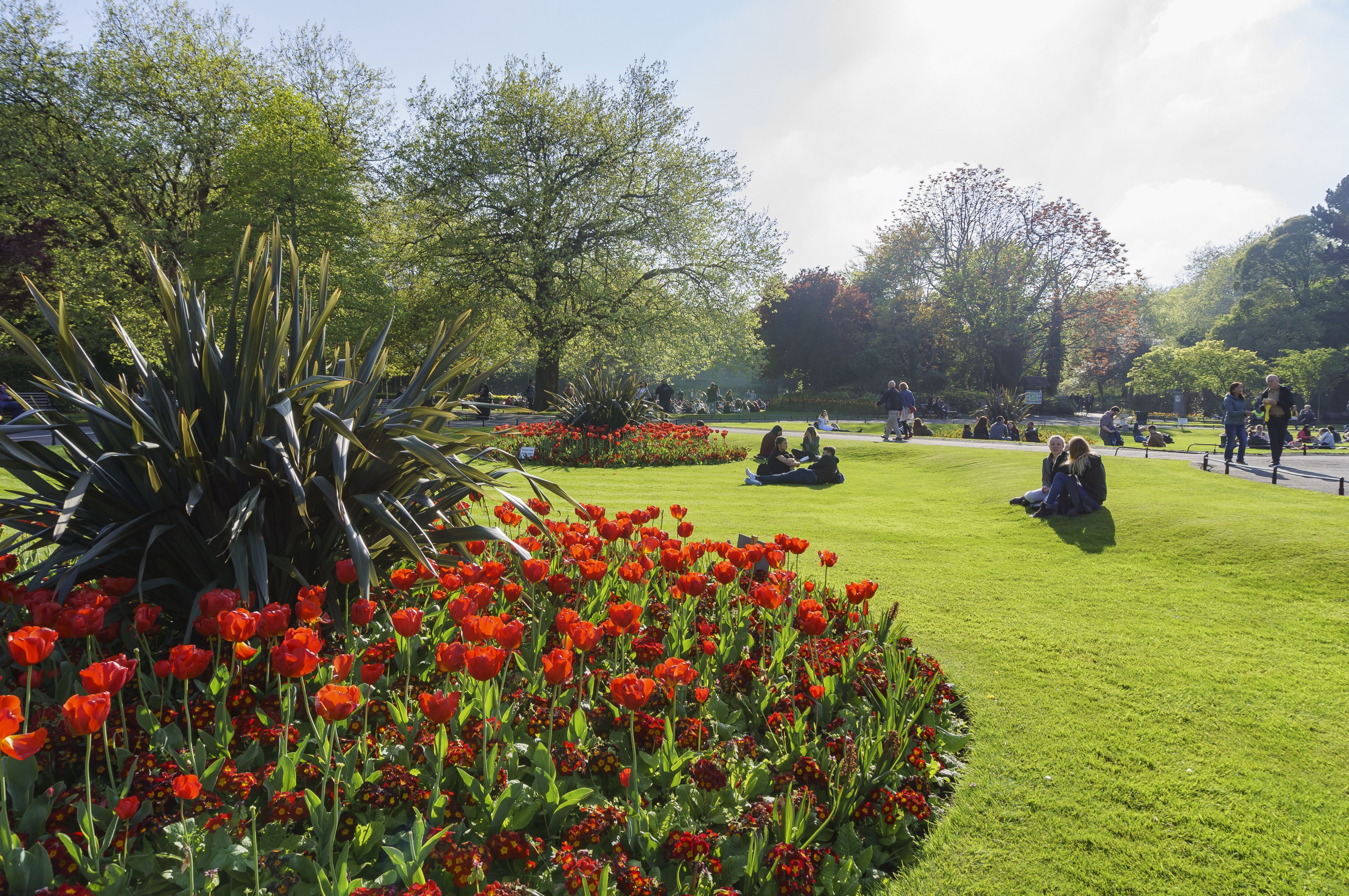 A park with green grass, red flowers, and people sitting and walking.
