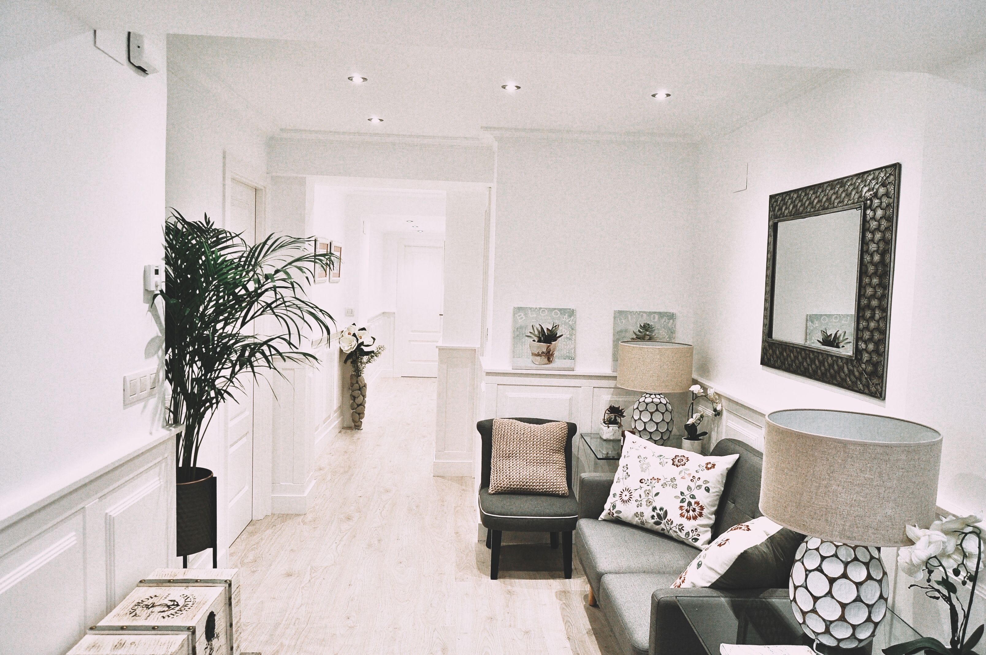 Foto - Mirador Catedral de Santiago