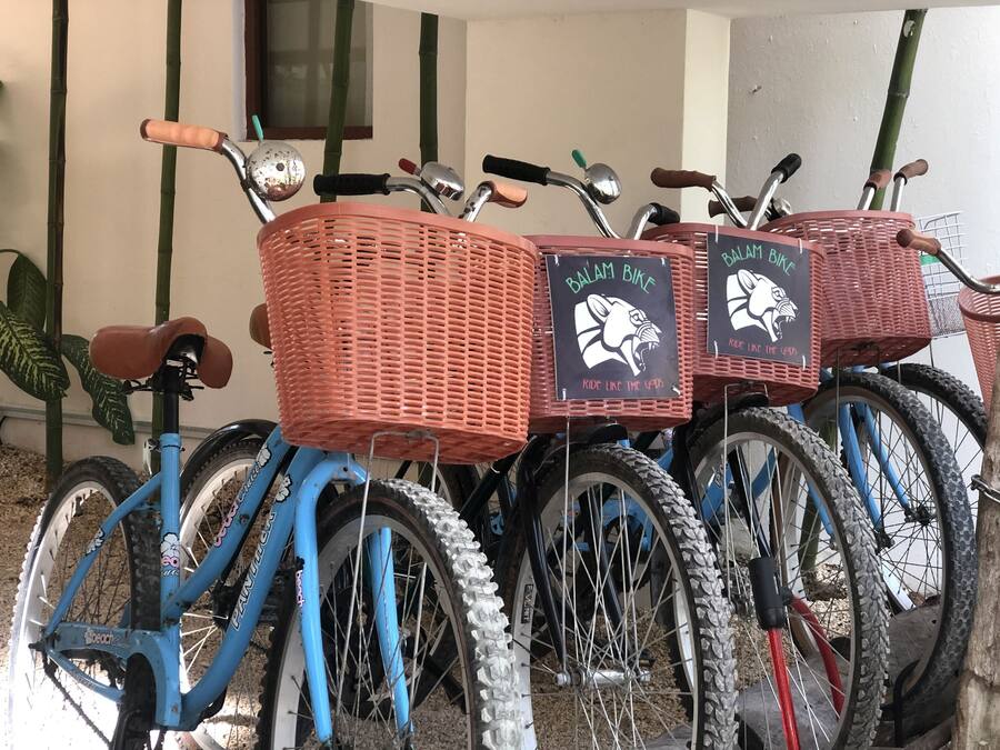 Una hilera de bicicletas con cestas, cada una con un letrero que dice "BALAM BIKE".