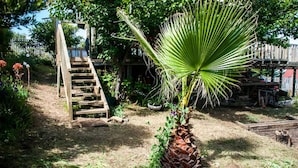 Property grounds - Casa Verde Pichilemu (Pichilemu)