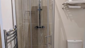 A glass-enclosed shower stall with a handheld showerhead, a toilet, and a towel rack. - Lion House Bed and Breakfast (Ilfracombe)