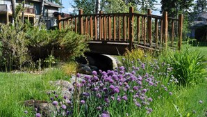 Un puente de madera sobre un arroyo, rodeado de exuberante follaje y flores moradas.