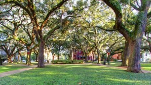House, 1 Queen Bed (Bird Baldwin Parlor) | Property grounds - Bird Baldwin Parlor (Savannah)