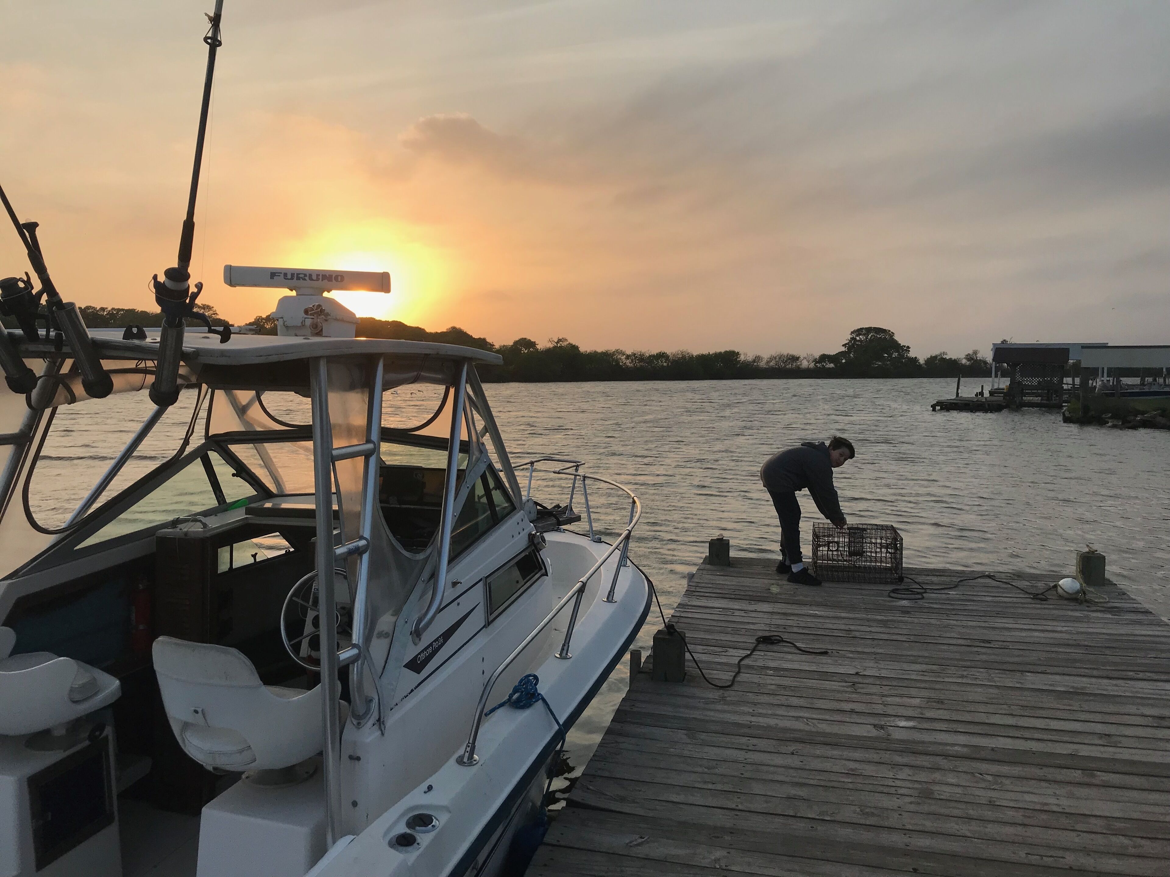 A boat docked at a wooden pier with a person handling a cage, set against a sunset.