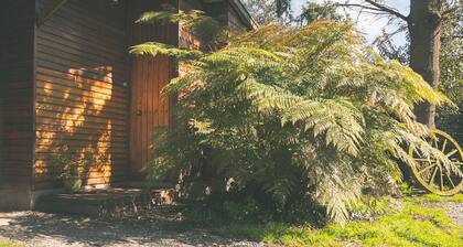 Silvestre Cabanas