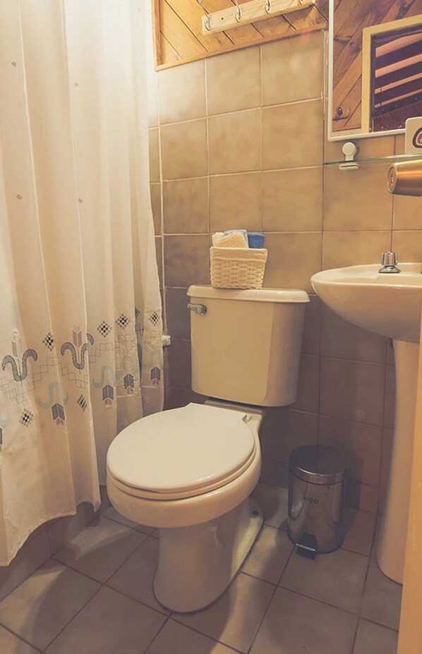 A bathroom with a toilet, a sink, and a trash can.