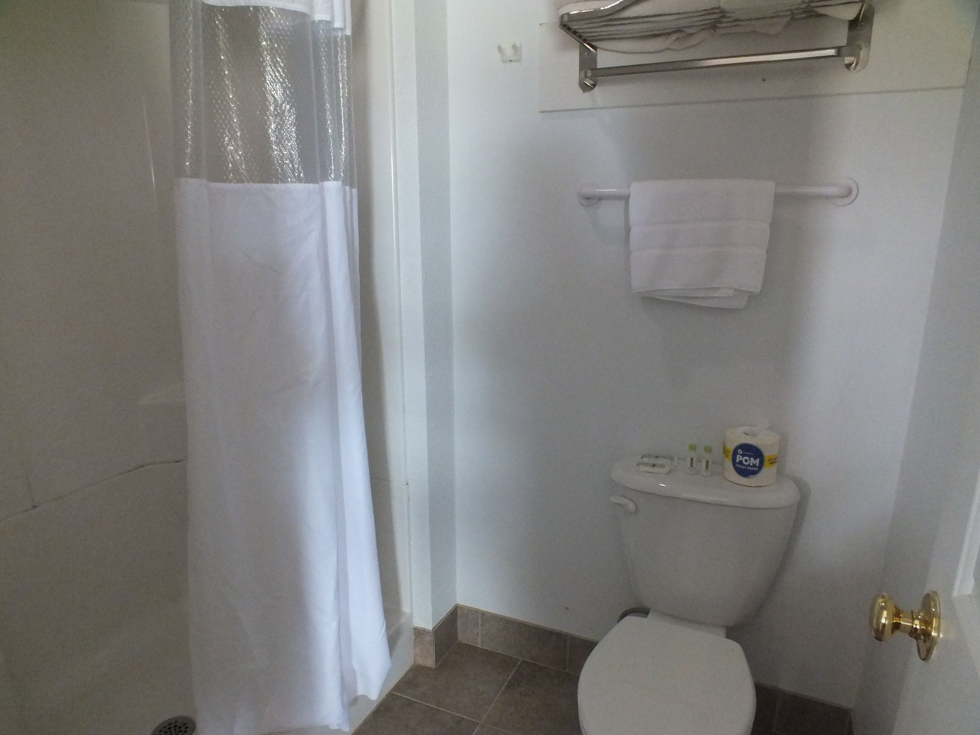 standard suite, 1 queen bed, non smoking | bathroom shower