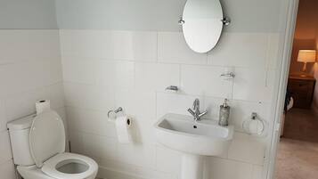 A bathroom with a toilet, sink, and mirror.