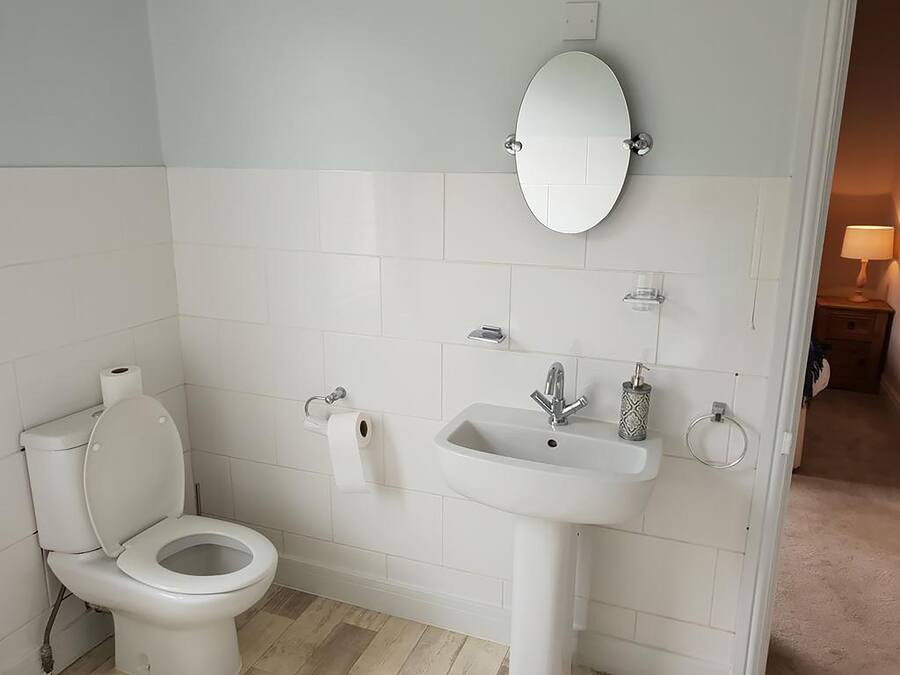 A bathroom with a toilet, sink, and mirror.