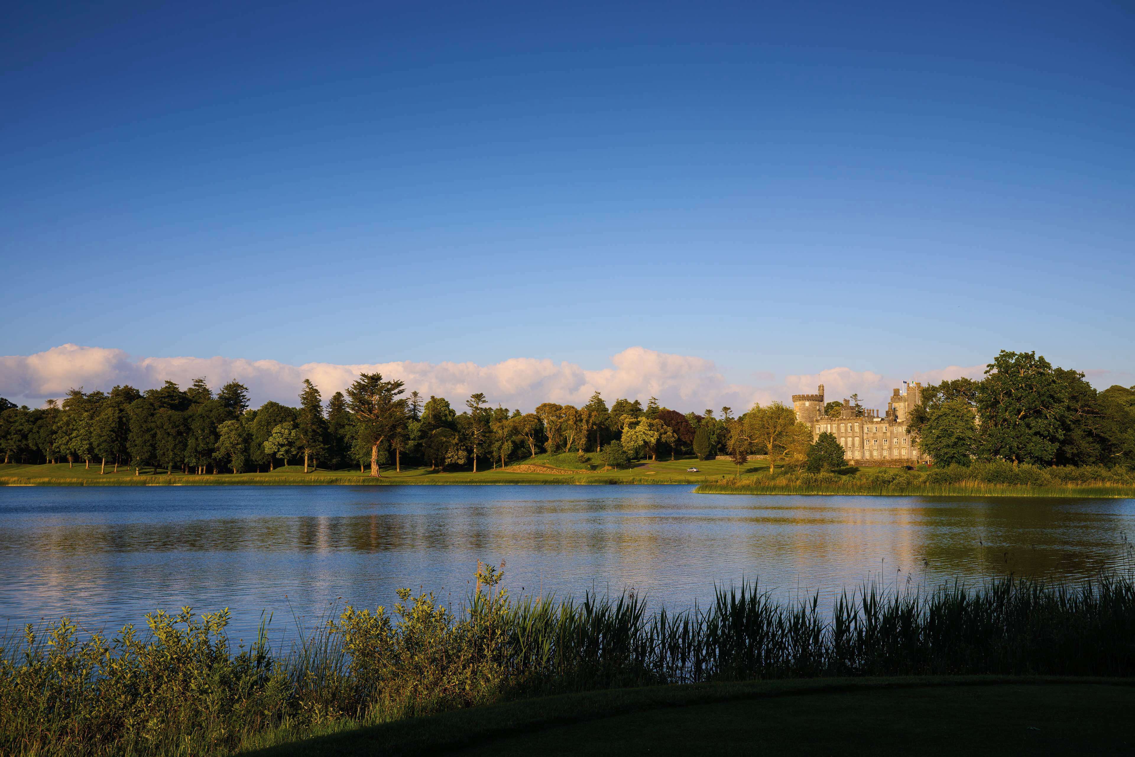 A serene lake with a castle in the background, surrounded by lush greenery and trees.