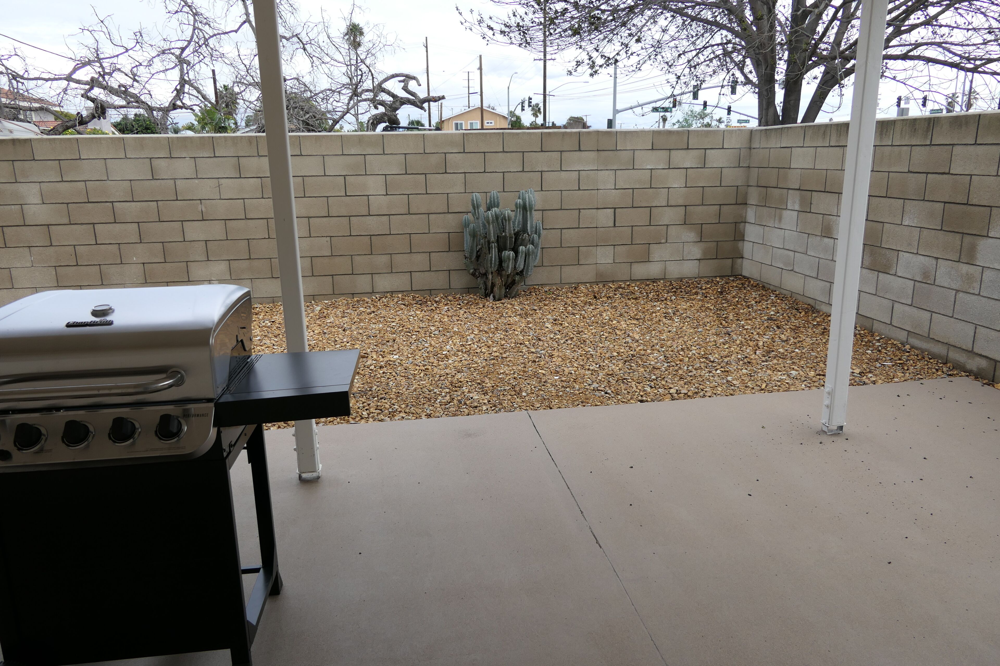 A backyard with a barbecue grill, a cactus, and a brick wall.