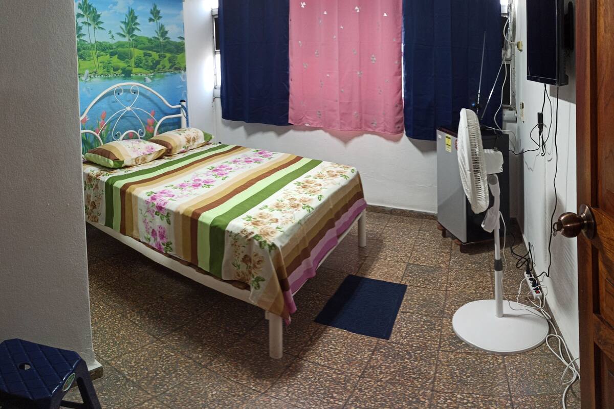 Basic Apartment, Multiple Beds, Smoking, City View | 1 bedroom, down comforters, laptop workspace, free WiFi