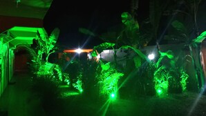 Vista nocturna de un jardín con iluminación verde, rodeado de diversas plantas y árboles.