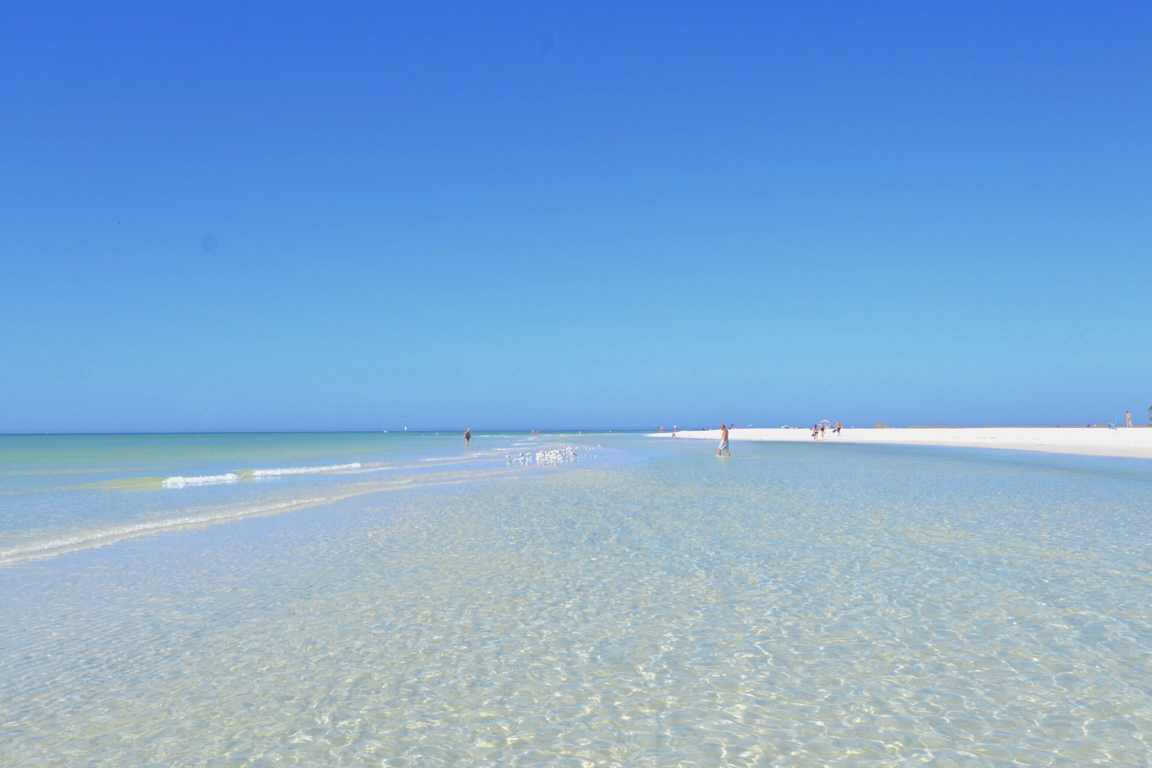 Siesta Key's shallow waters are perfect for swimming and wading. Beach access just 500ft from the Village Studio.