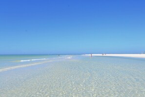 Playa en los alrededores 