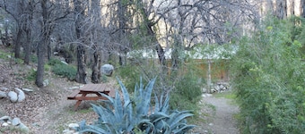 Our cabin in the Elqui Valley