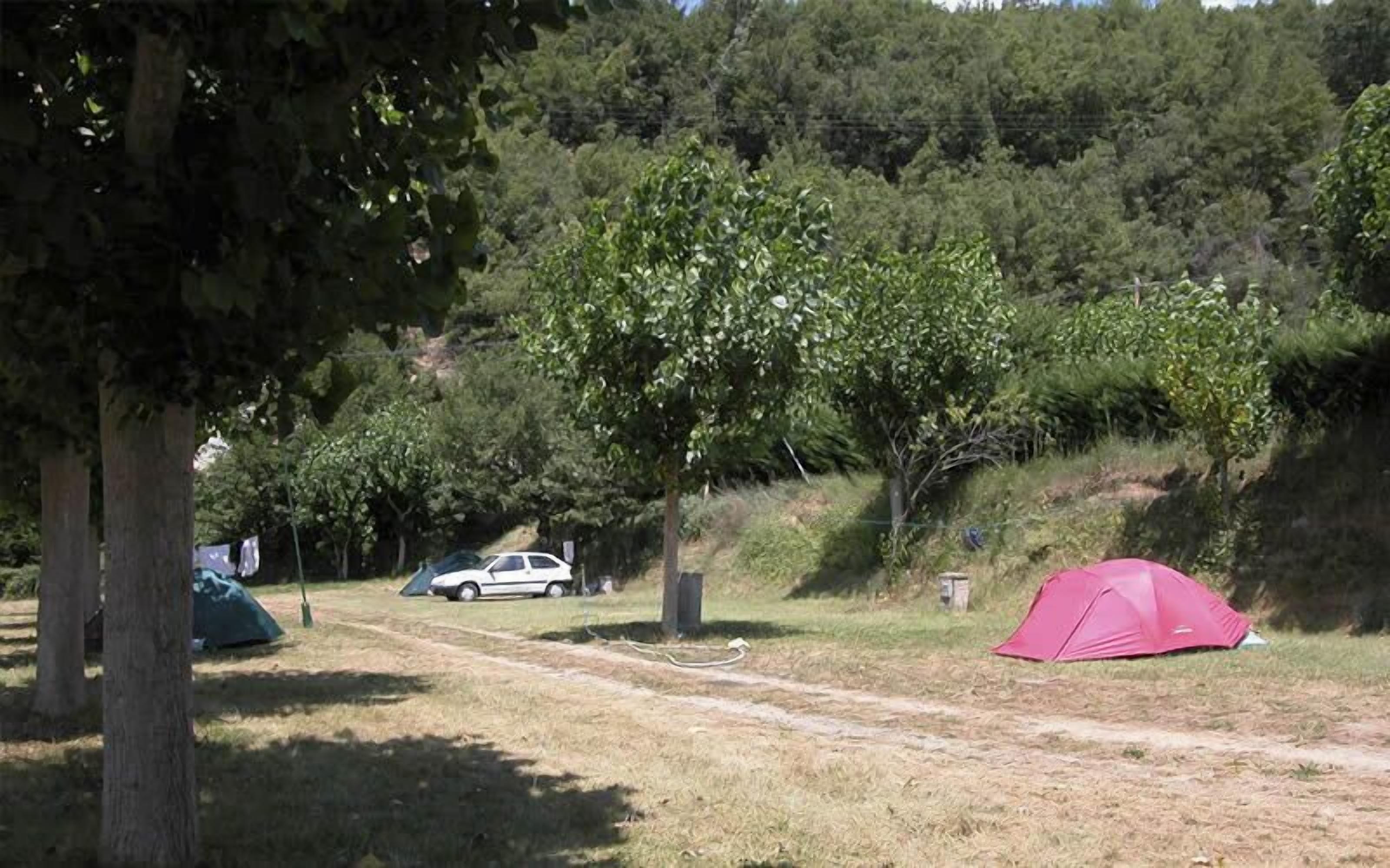 Un campamento con una tienda de campaña, un coche y un árbol.