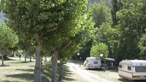 Un camping con vehículos recreativos estacionados a lo largo de un camino de tierra, rodeado de árboles.