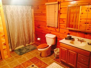 Combined shower/tub, hair dryer, towels, toilet paper