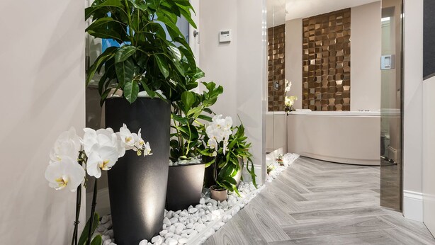 A modern reception area with a curved reception desk, a large potted plant, and a decorative wall. - Luma Suite Via Veneto - Roma . Your private luxury nest in Rome (Roma)