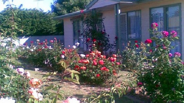 Une maison dotée d’un jardin où l’on trouve différentes plantes à fleurs et une petite pelouse.
