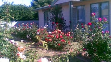 A house with a garden featuring various flowering plants and a small lawn.