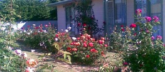 Sea Rose ~ Short walk to the beach and shops!  Off Peak Special!