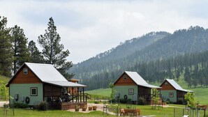 A row of rustic cabins with metal roofs, wooden decks, and a grassy field in the foreground. - Black Hills Farmhouse, Cabin #3 (Custer)