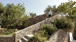 Escadaria de pedra que sobe em direção a um edifício rodeado por vegetação.